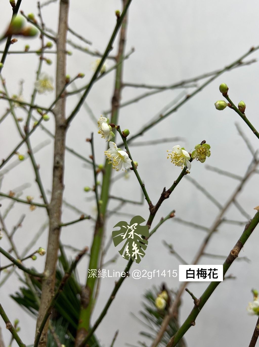 8F867451-C9E5-425F-A43C-F0862EA36FB4