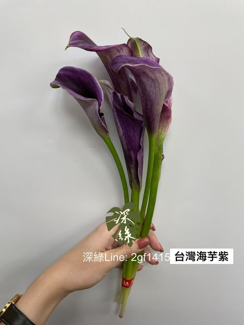 F3A4AAF4-BEF6-4EAE-9198-DE0E342DA43E