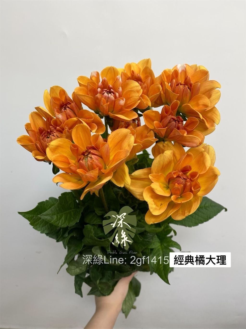 107EA4CA-885A-4753-84C6-5E74A729F109