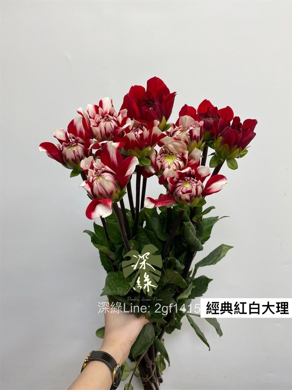 709B035B-4477-465E-9947-9848C265CE83