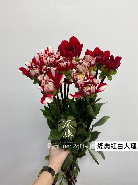 709B035B-4477-465E-9947-9848C265CE83