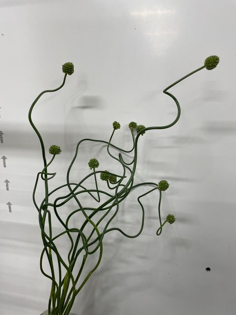 6A45DFE0-0357-437F-9A18-FAE56358EABA