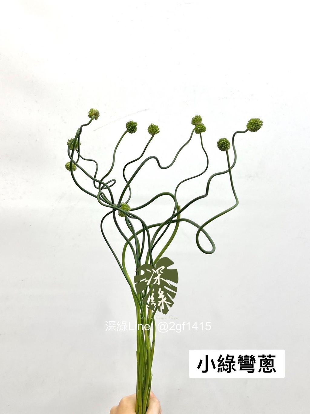 42979A4A-E501-43FC-A84E-B2367A8ACD4B