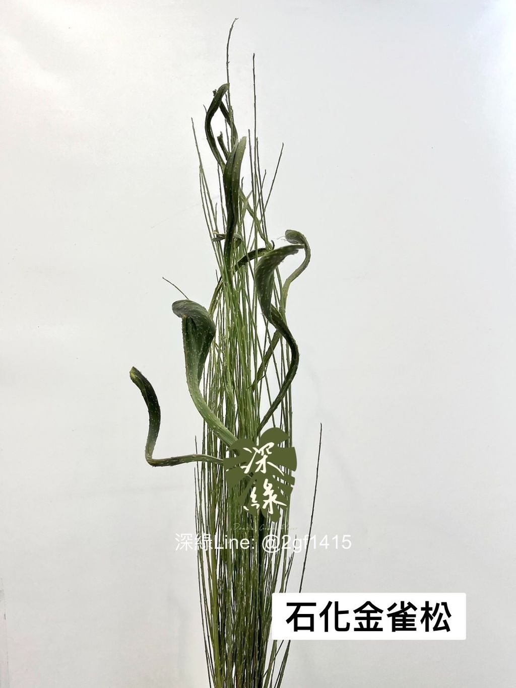 IMG_7693-1705971654538