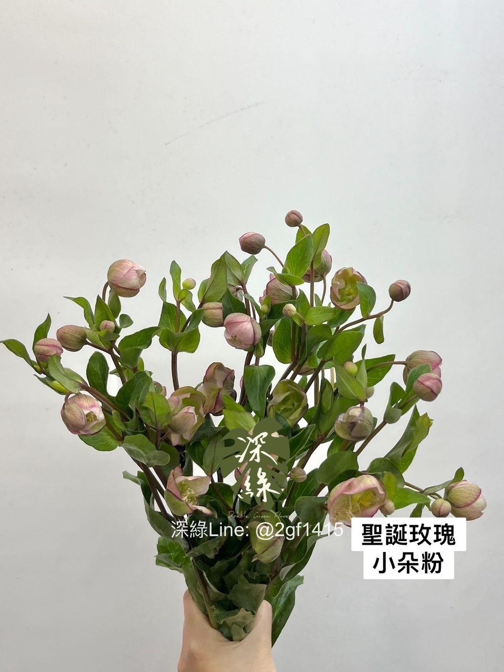 IMG_7741-1705983697739