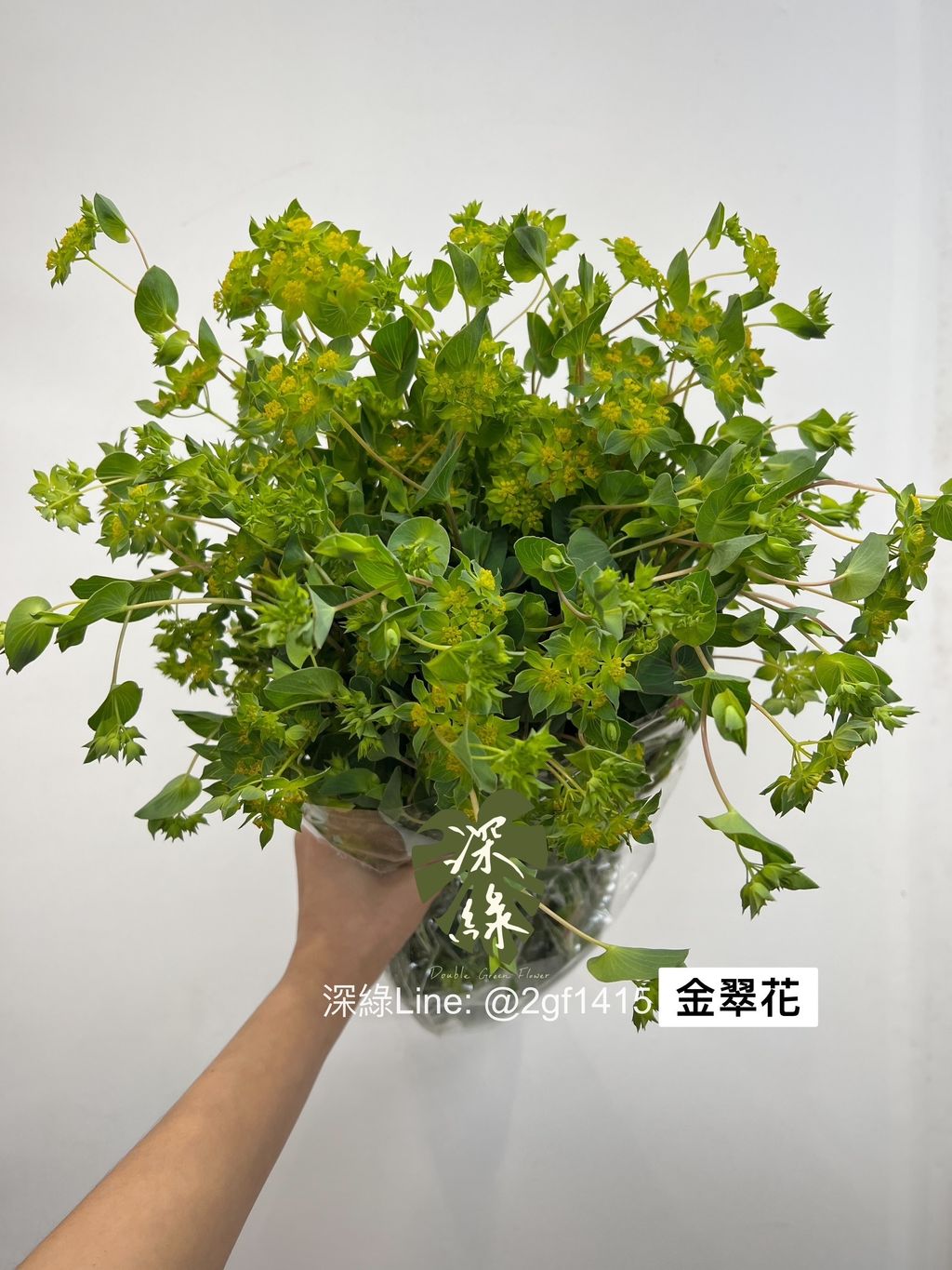 IMG_2148-1706089592139