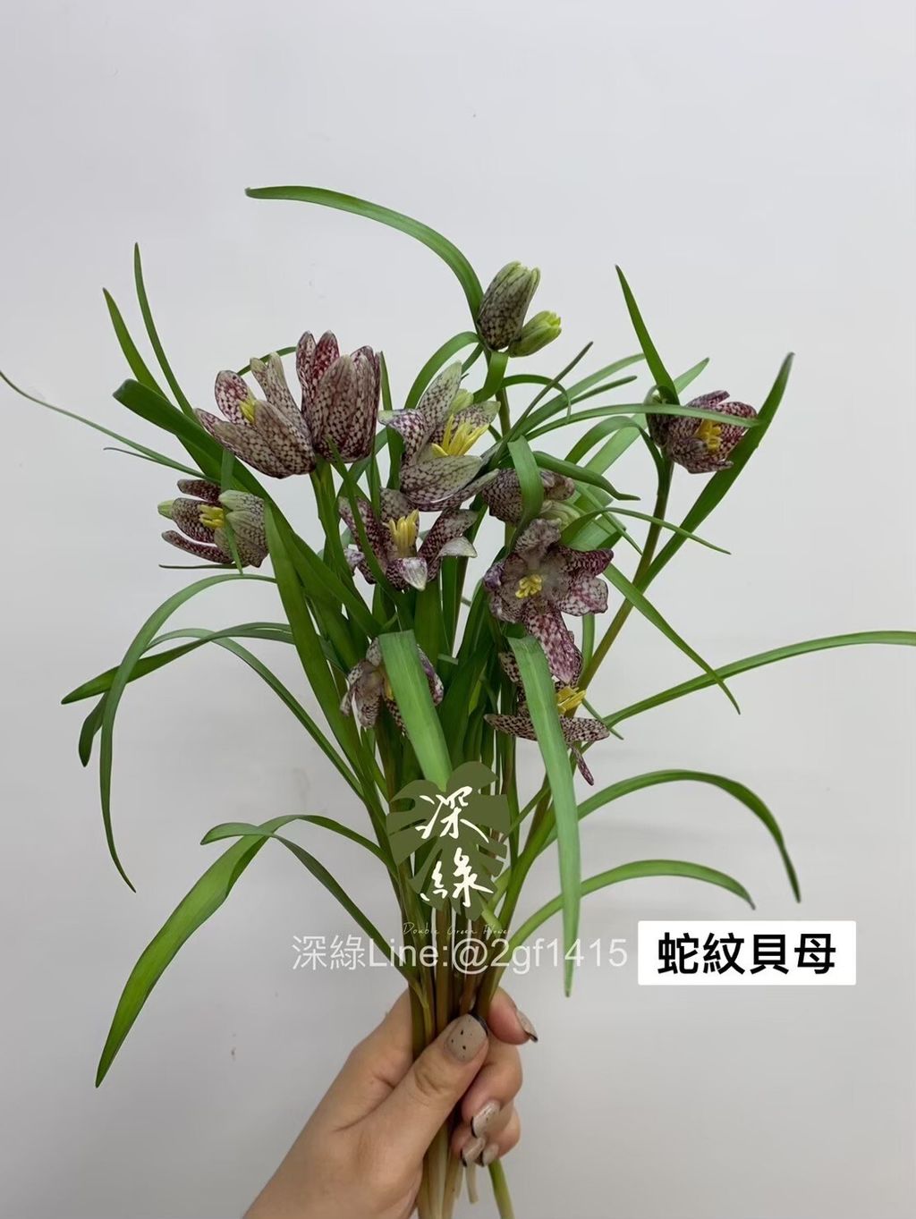 04D24666-39A1-4D60-9E51-AE5192582559-L0-001