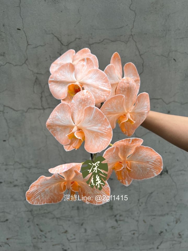 S__4202649_0