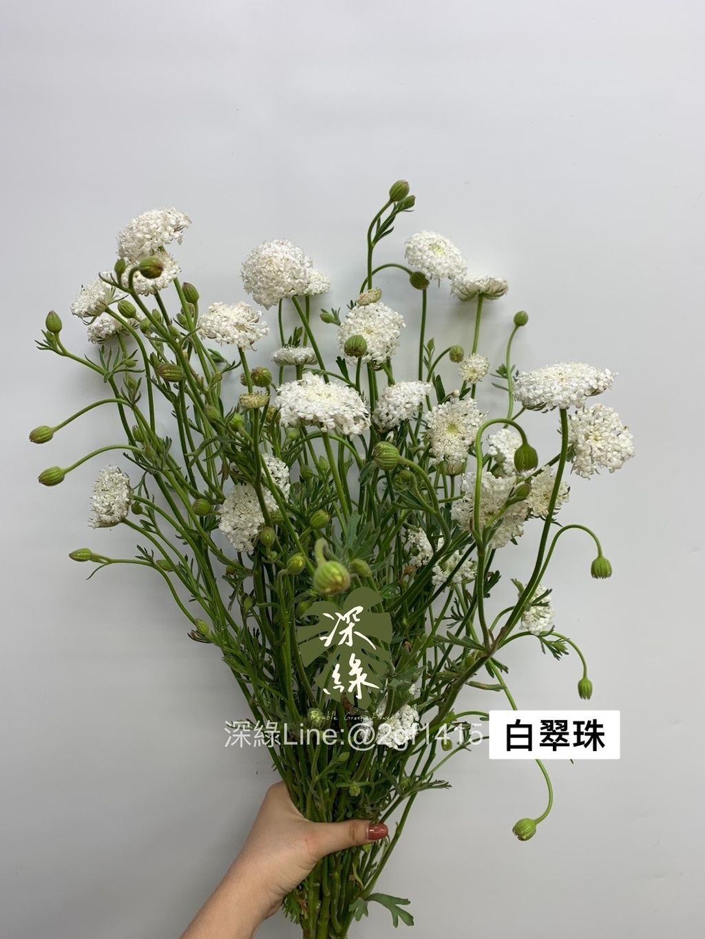 IMG_3348-1707952369330