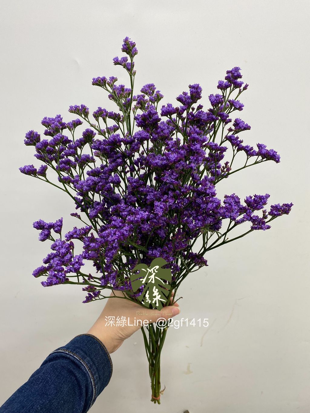 S__33128478