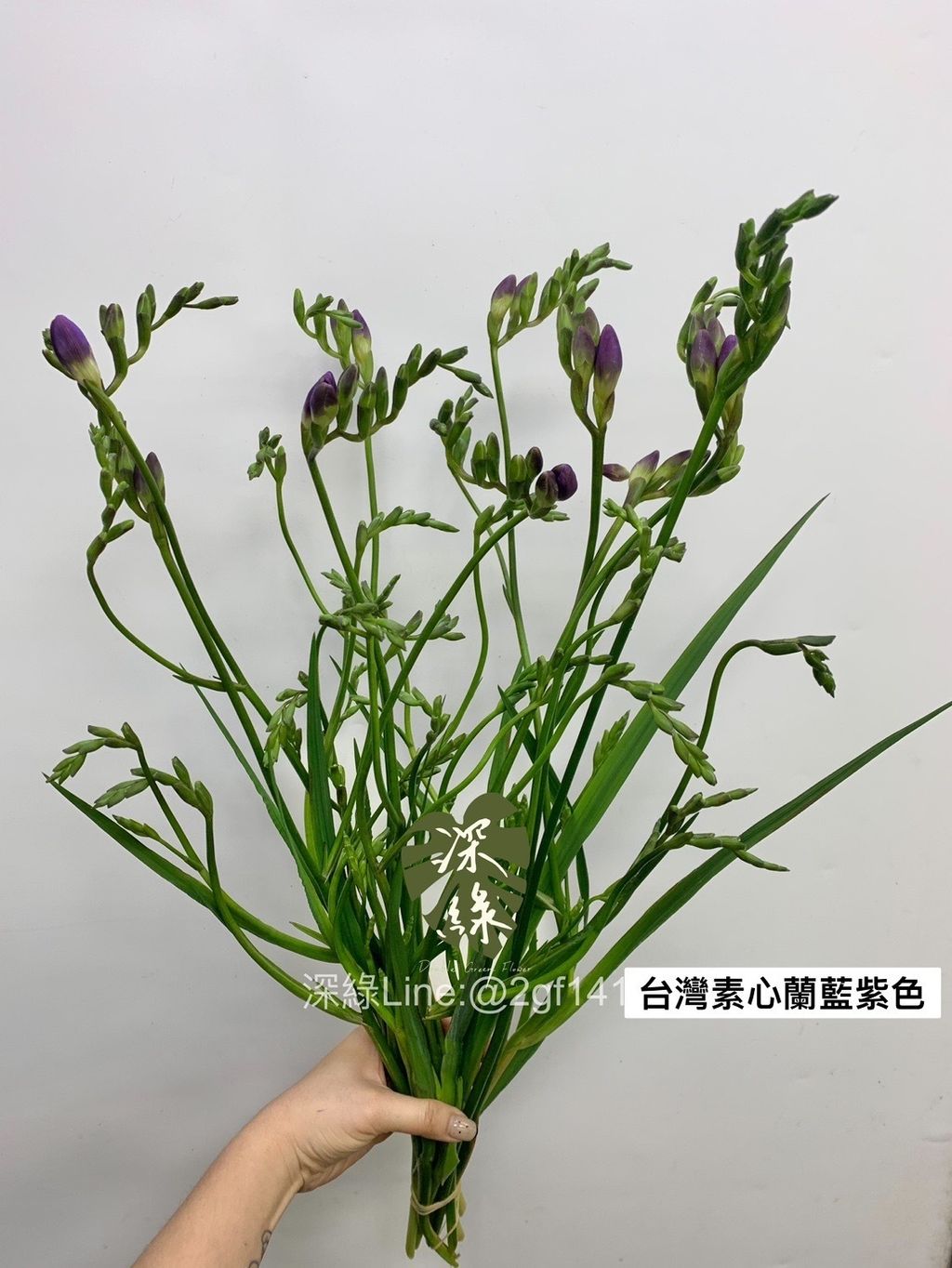 B2739380-84BD-4832-8AB8-62871E088933