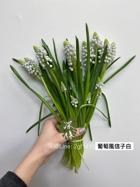 4FCC7774-75EF-4F9A-A438-4AA38F03F88B-L0-001