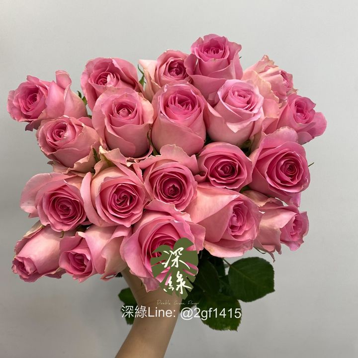 S__33202308