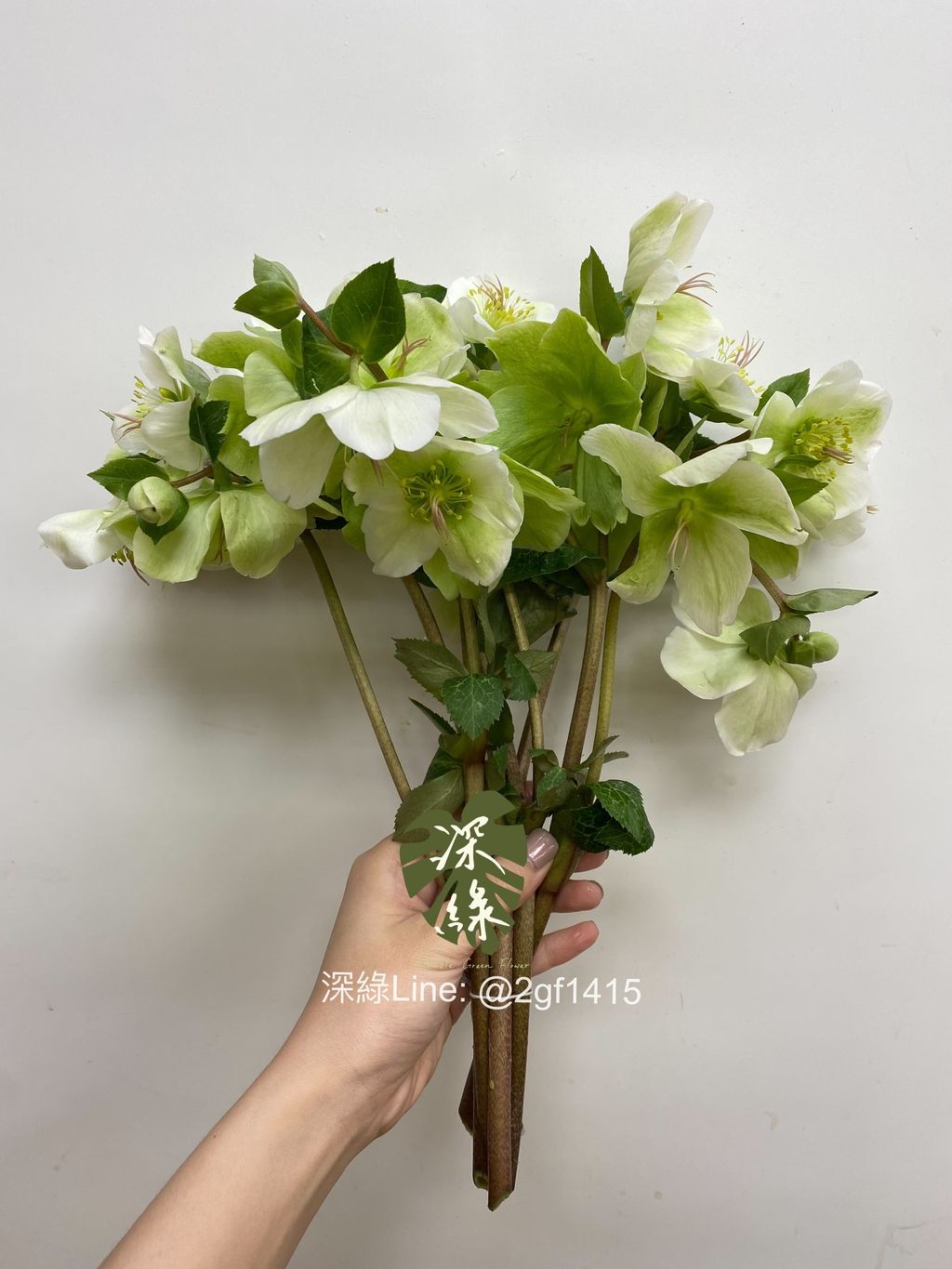 eZy Watermark_22-02-2024_11-53-11-0770上午