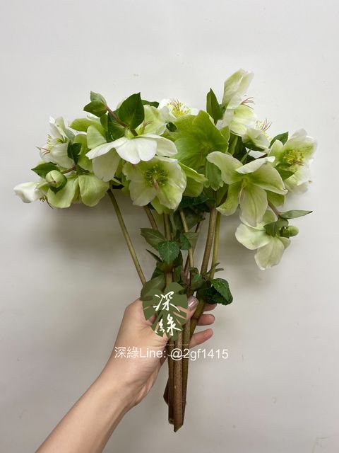 eZy Watermark_22-02-2024_11-53-11-0770上午