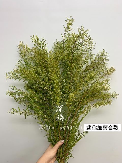 B9B93640-6814-44AD-929E-D6676489E39B