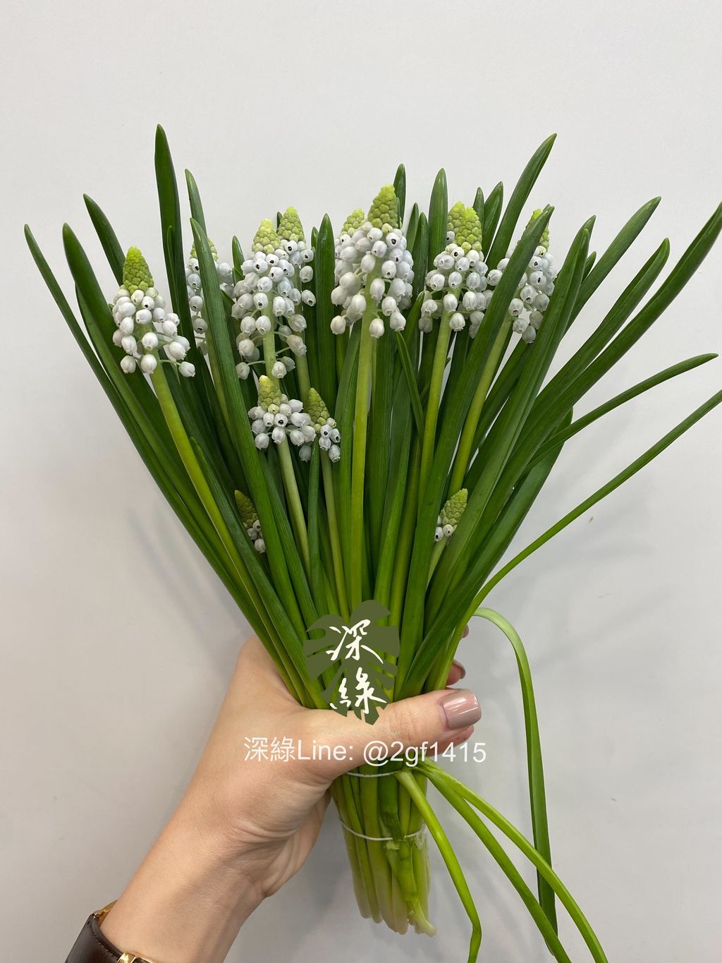 eZy Watermark_26-02-2024_04-54-57-1490下午