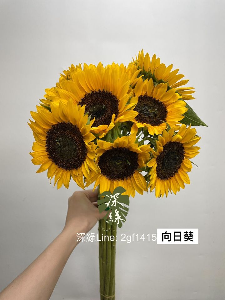 6CCCB528-99D8-47D1-A5FF-529B2CE7EFFD