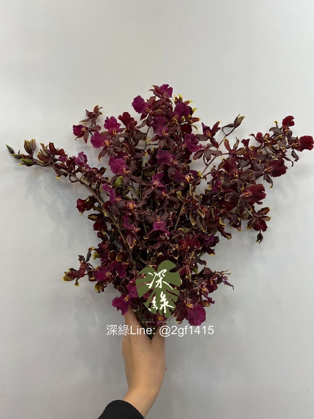 IMG_8684-1709784847627