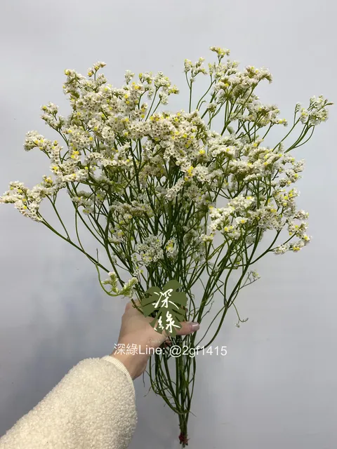 S__33783843