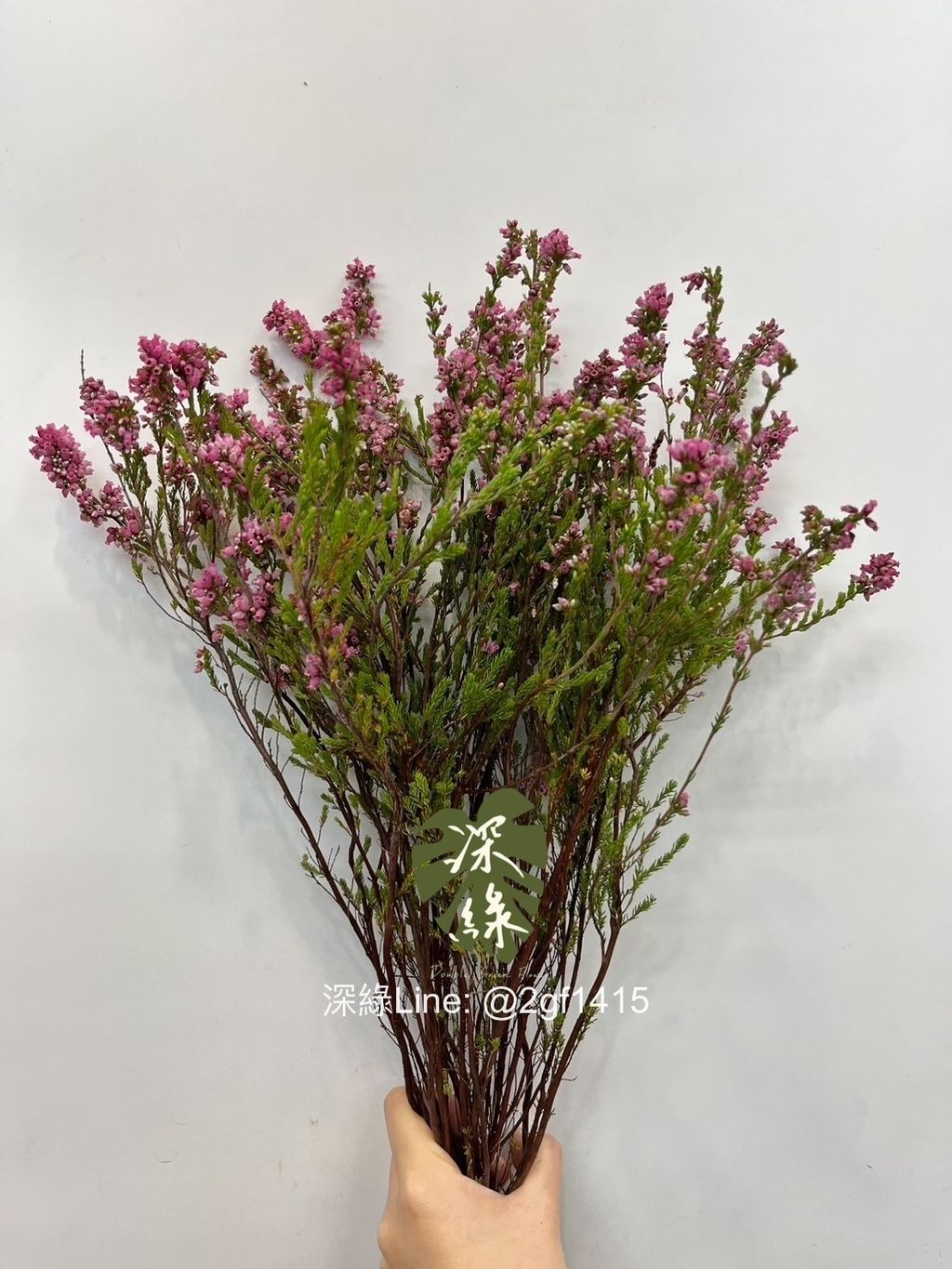 S__4890794_0