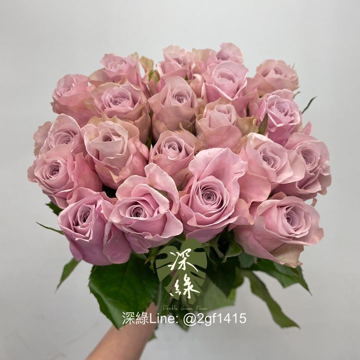 S__4915233