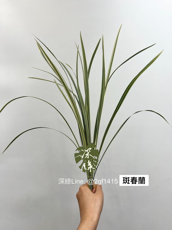 S__4972556