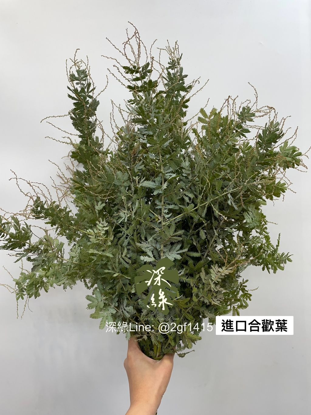 S__5005337