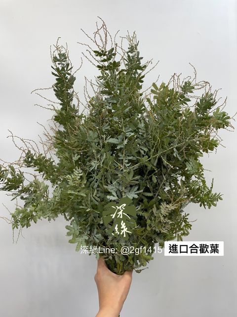 S__5005337