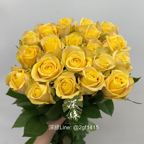 S__5046319
