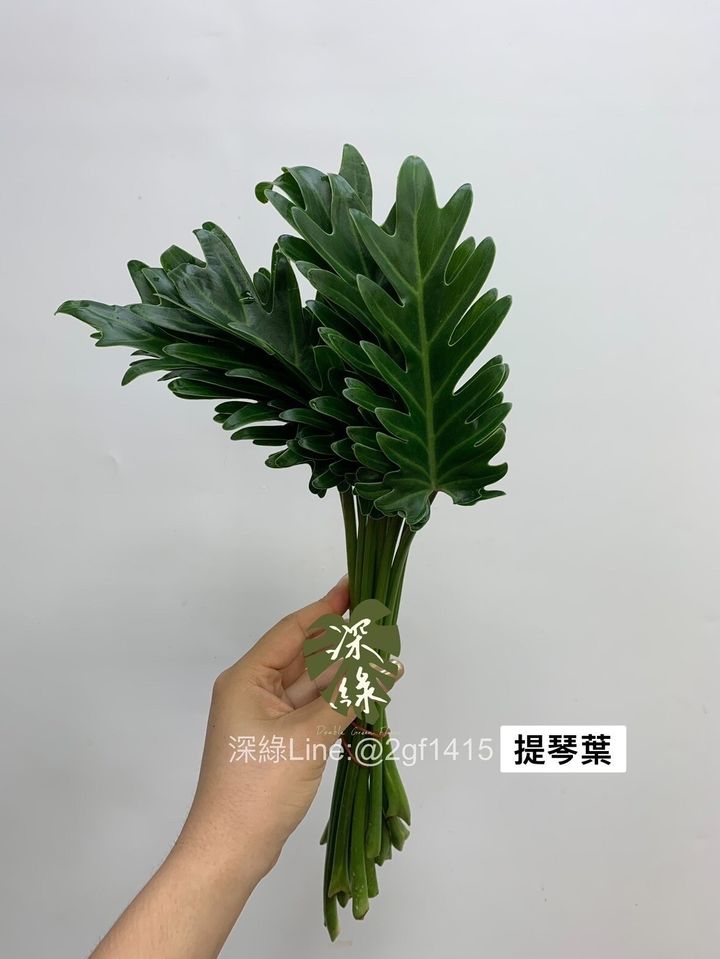 LINE_ALBUM_葉材_240406_13