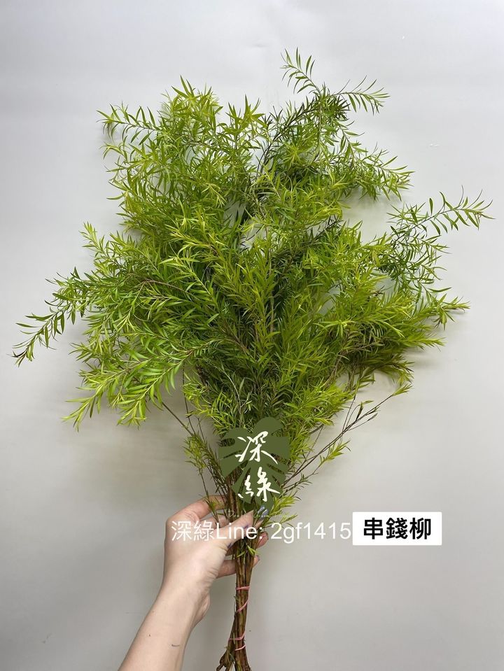 LINE_ALBUM_葉材_240406_12