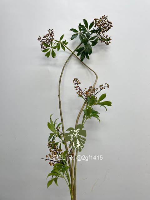 LINE_ALBUM_葉材_240406_5