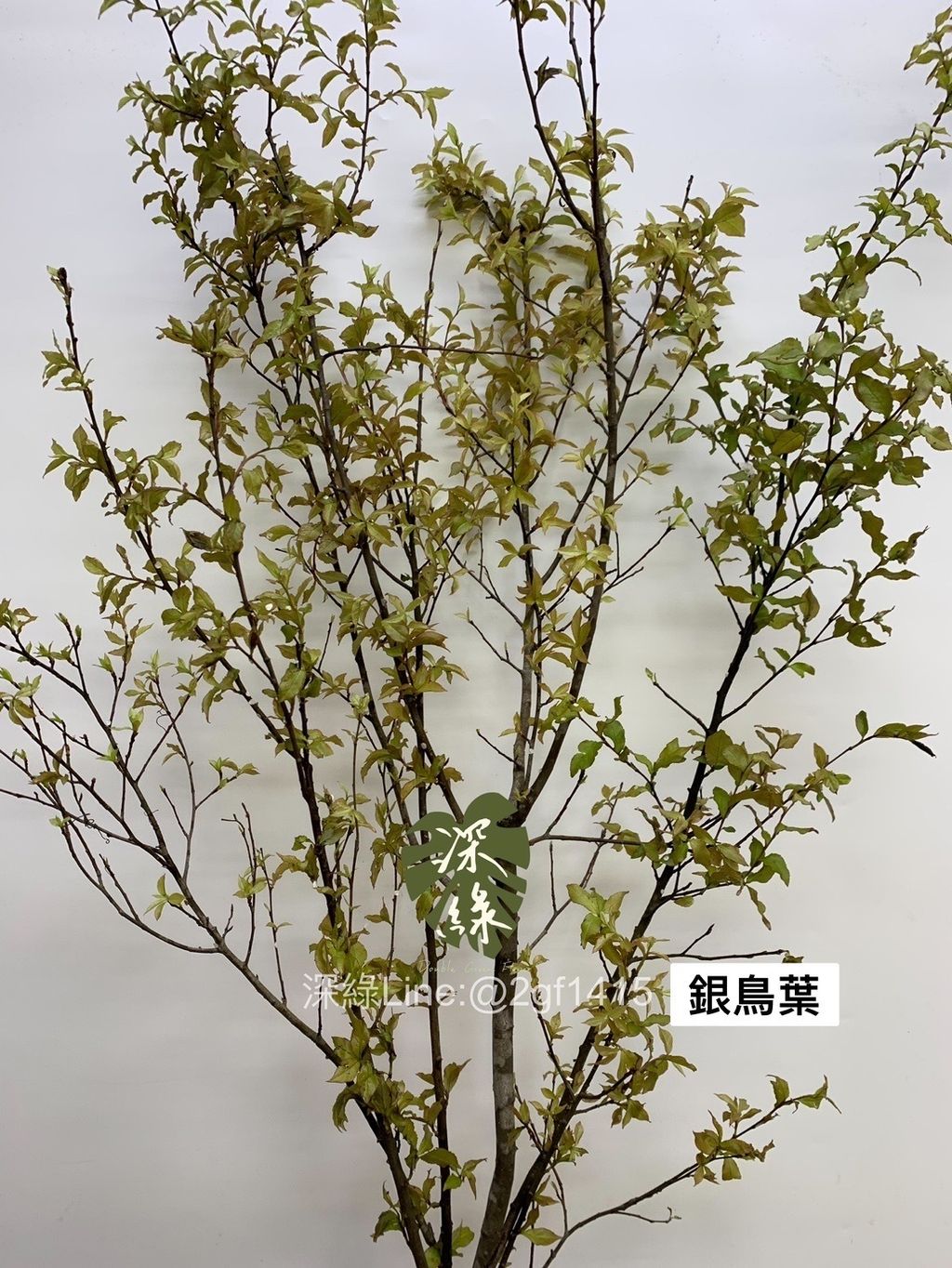 8ED99986-F809-4840-AC8B-5C9241BD6F8A