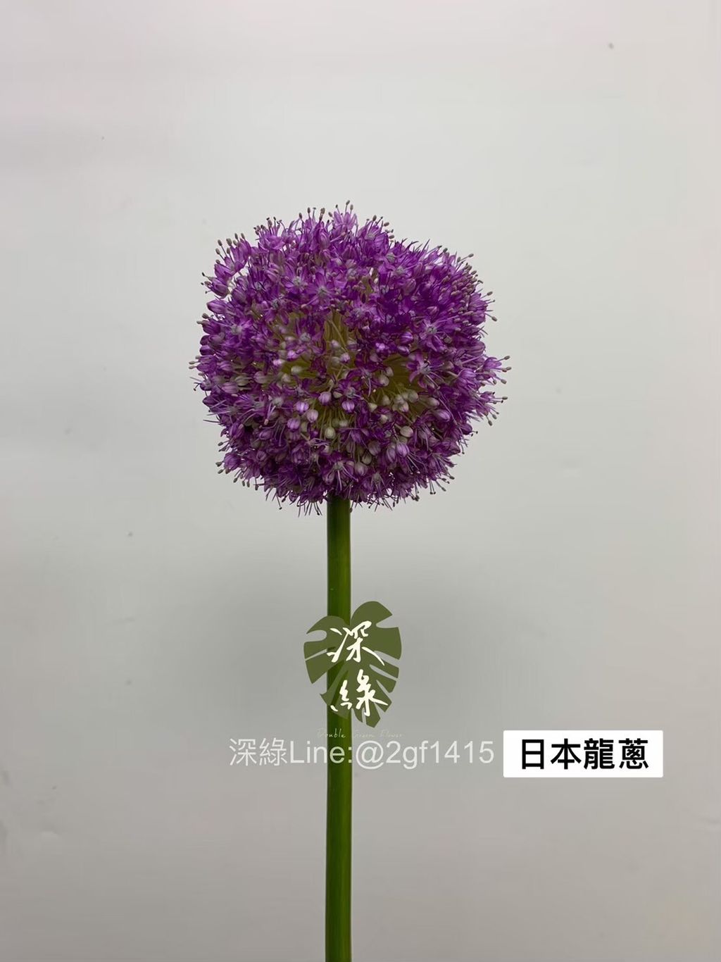 LINE_ALBUM_20230417_240406