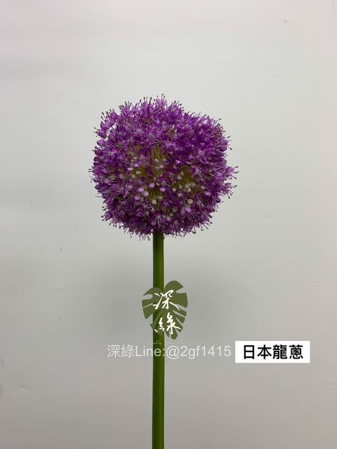 LINE_ALBUM_20230417_240406