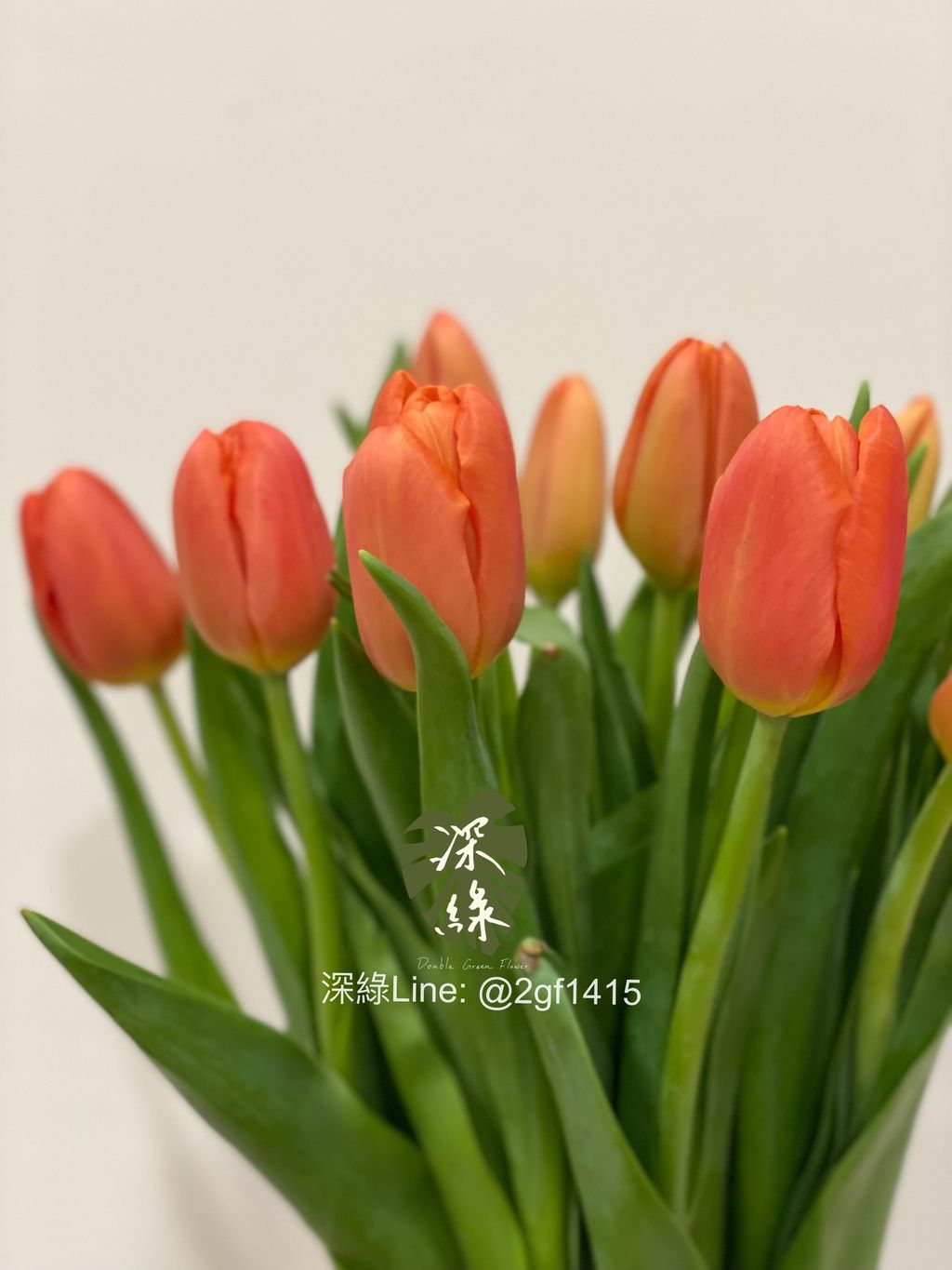 eZy Watermark_07-04-2024_01-54-43-8940上午