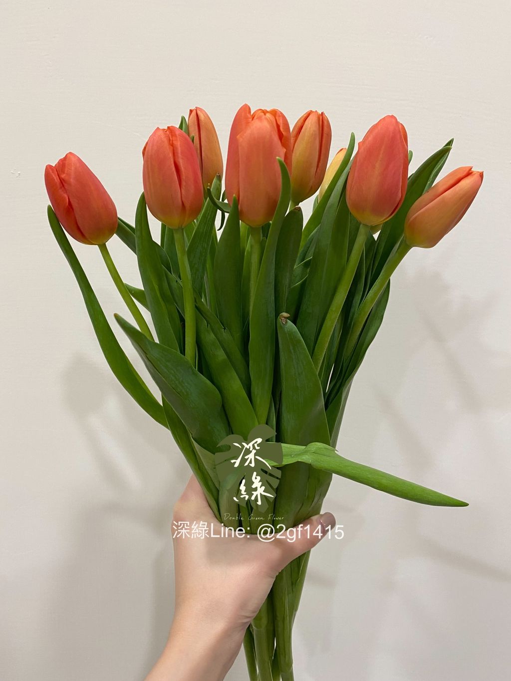 eZy Watermark_07-04-2024_01-54-43-0840上午