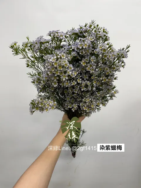 S__5185577