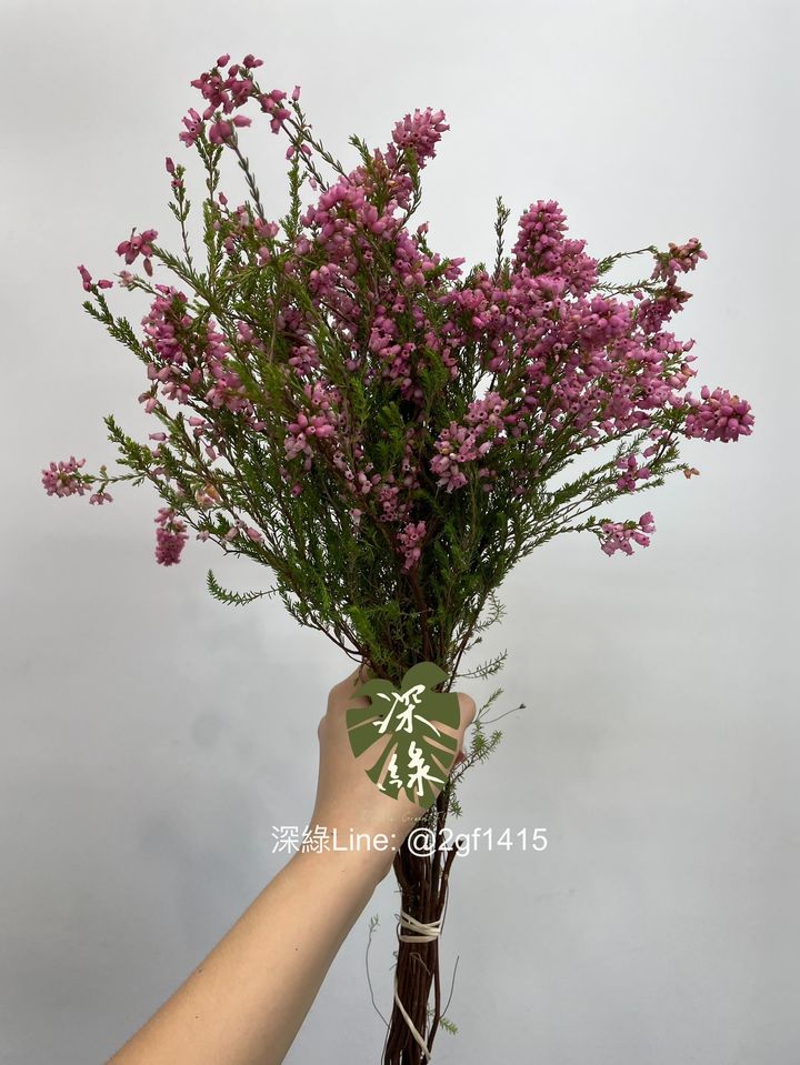 S__5226507