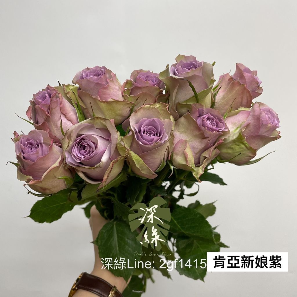 966CDD43-996B-4194-8AA5-5B2C6A88555C