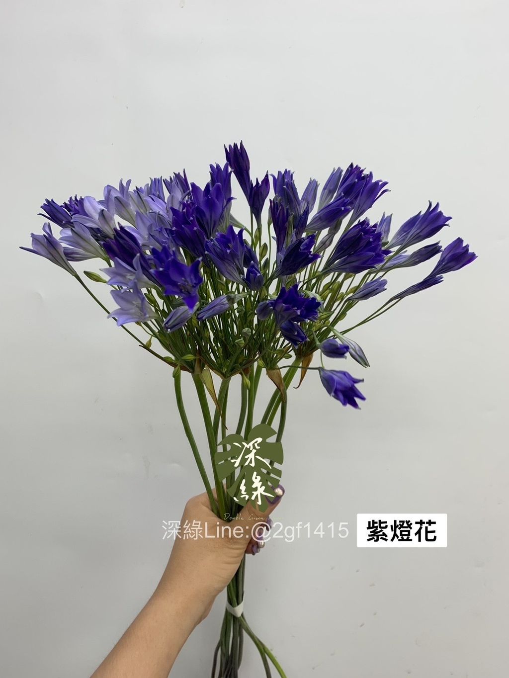 6DC864AE-E710-4E92-8487-27CF6C036983