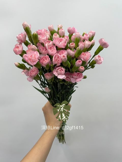 新品– 深綠花卉