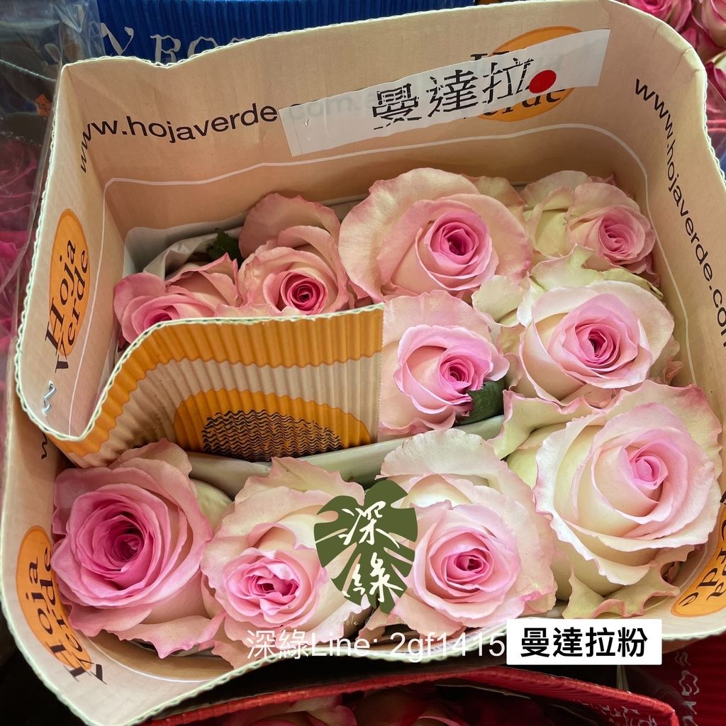 46EB8E27-C13C-45F4-ABF9-7E1D0C5960CC
