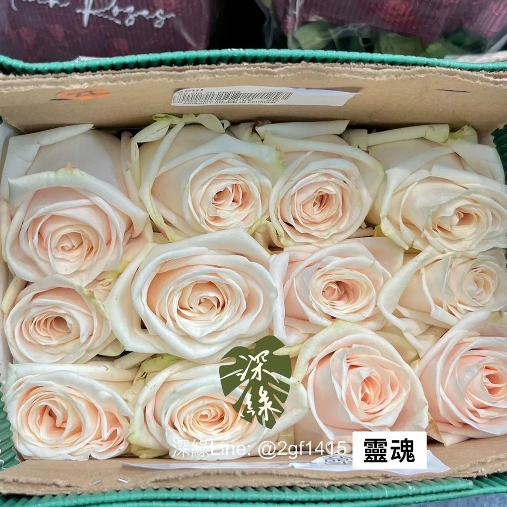 messageImage_1715472772358