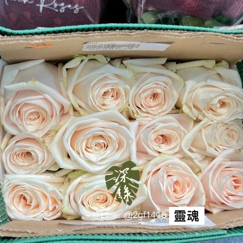 messageImage_1715472772358