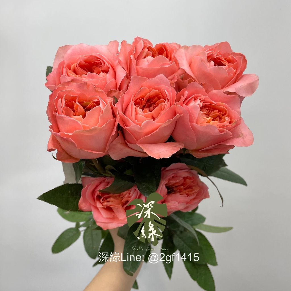 S__5644387