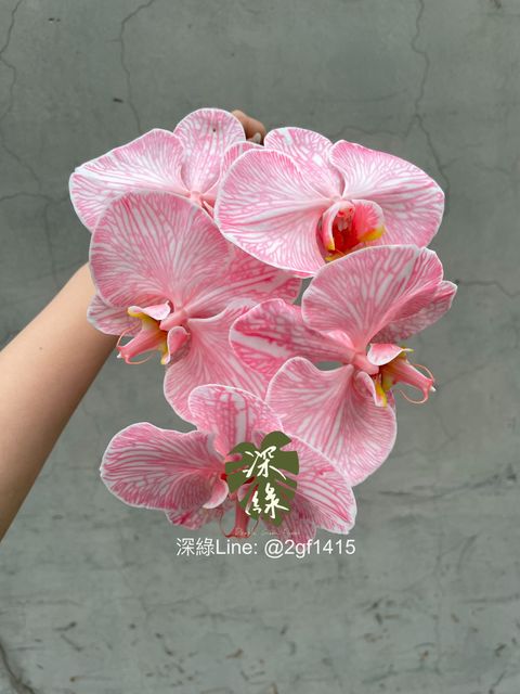 eZy Watermark_22-05-2024_09-54-41-1420上午-1716343324747