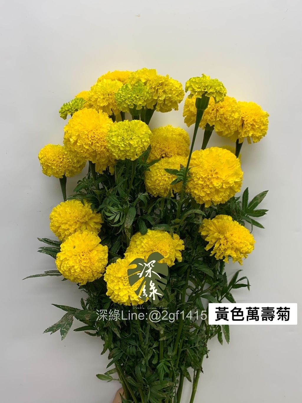 IMG_9359-1716343447136