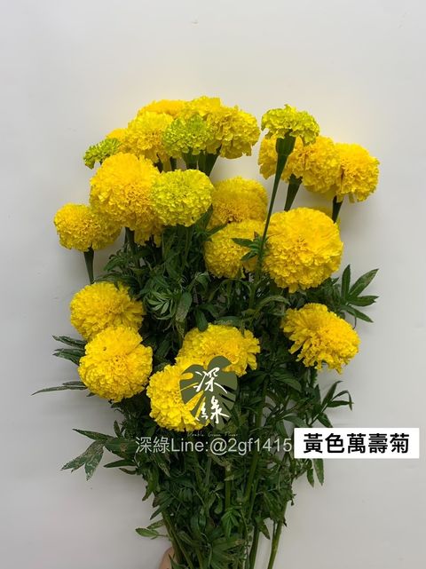 IMG_9359-1716343447136